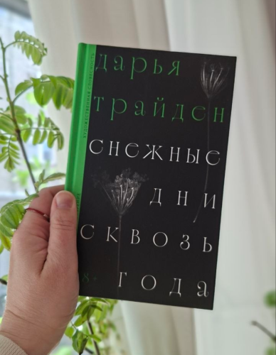 Снежные дни сквозь года - Дарья Трайден