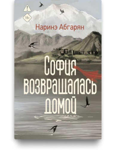 София возвращалась домой - Наринэ Абгарян