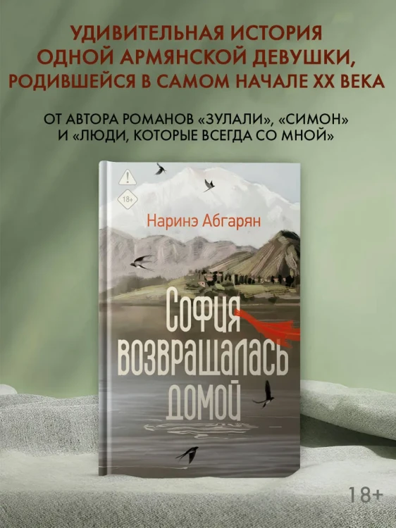 София возвращалась домой - Наринэ Абгарян