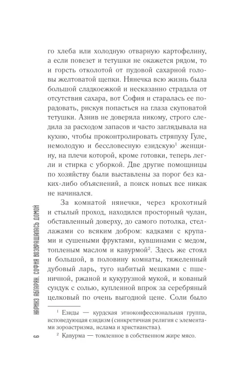 София возвращалась домой - Наринэ Абгарян