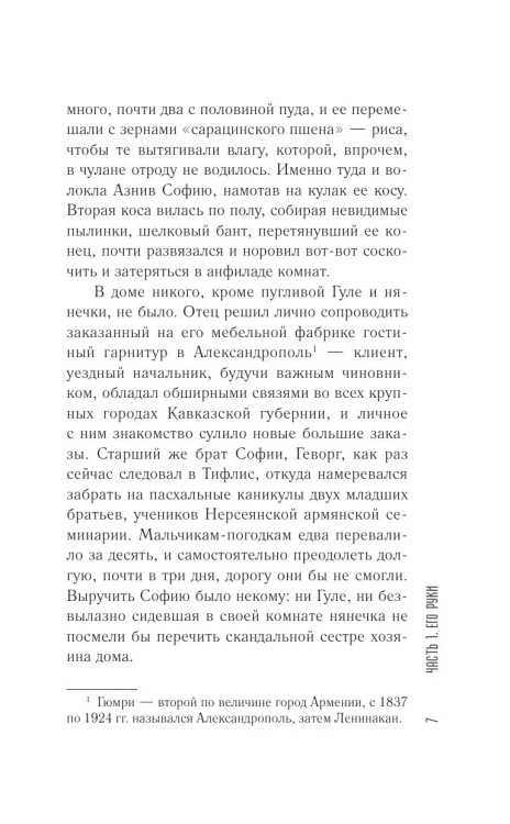 София возвращалась домой - Наринэ Абгарян