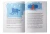 Diogen_40-41-min-min.png.webp