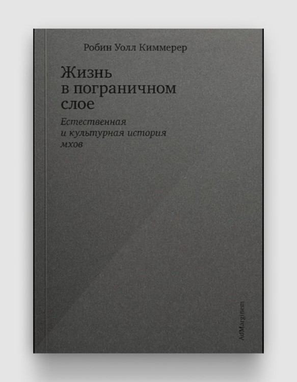 жизнь в пограничном слое.jpg