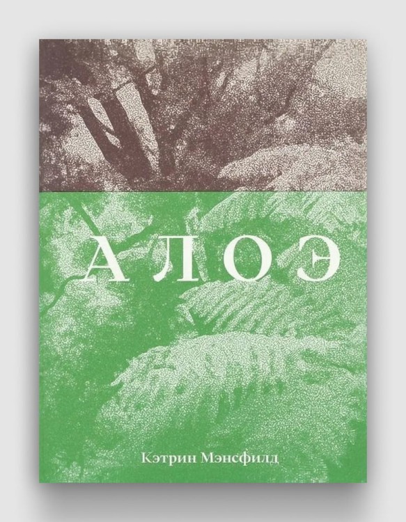 алоэ.jpg
