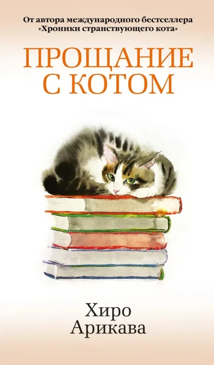 Хиро Арикава- Прощание с котом  .webp