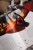 Ночь перед Рождеством (с иллюстрациями Тани Дюрер) | Гоголь Николай Васильевич2.webp