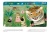 Счастье кота Феличе 4.webp