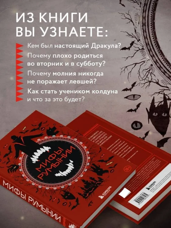 7059887350.jpg