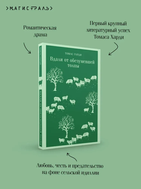 7245372200.jpg