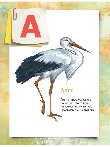 7797972259.jpg