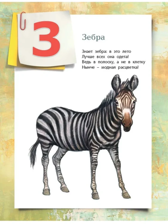 7797972516.jpg