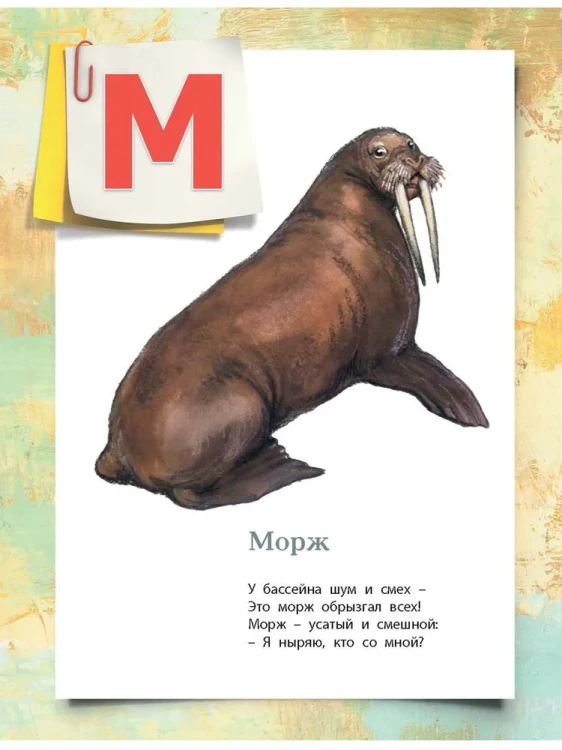 7797972514.jpg