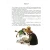 6190622464.webp