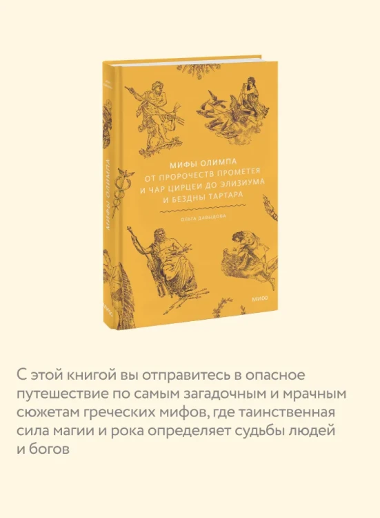 7937372425.webp