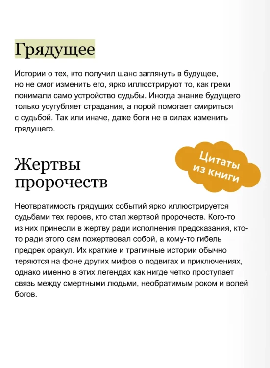 7937372504.webp