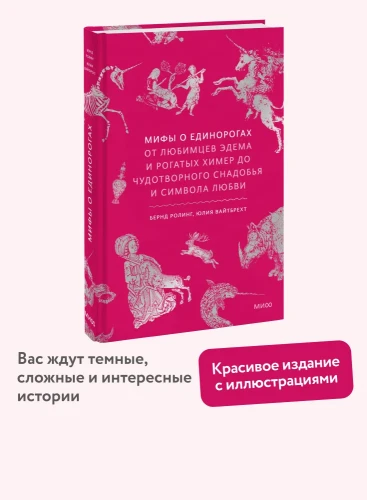 8081246266.webp