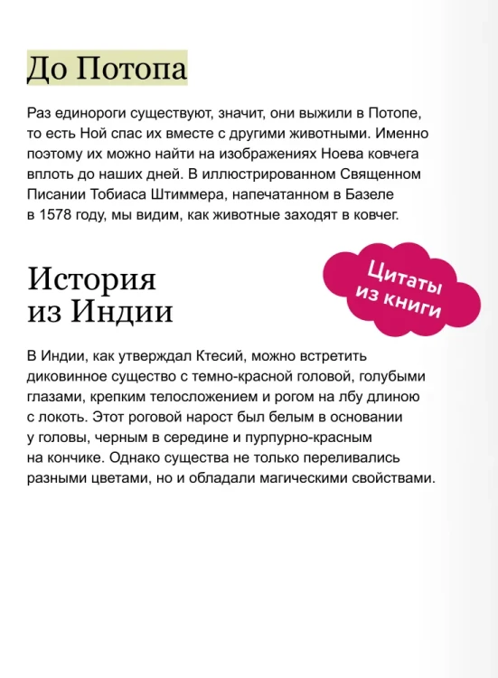 8081247184.webp
