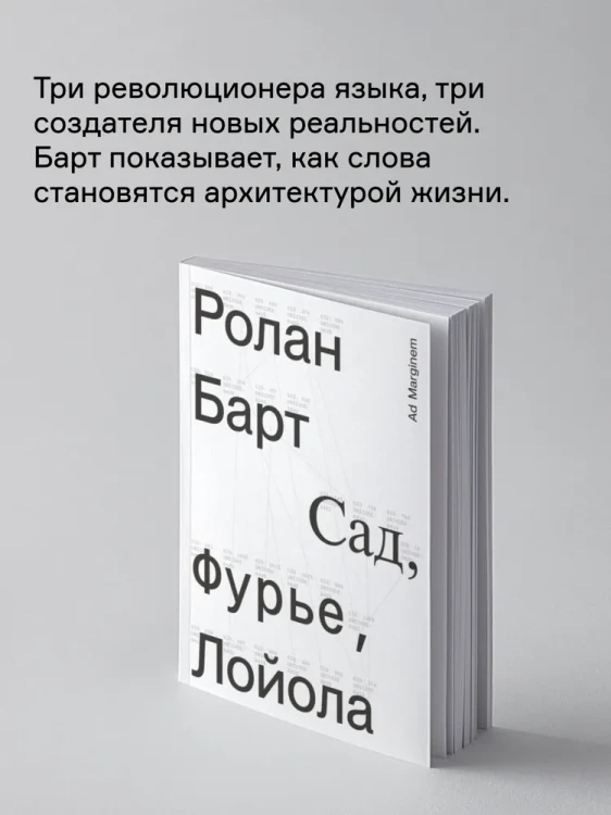 8051275573.jpg