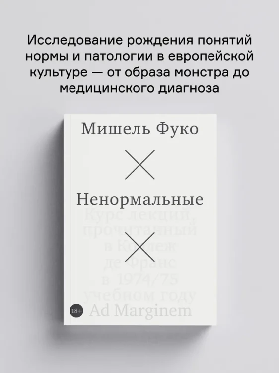 8117866274.jpg