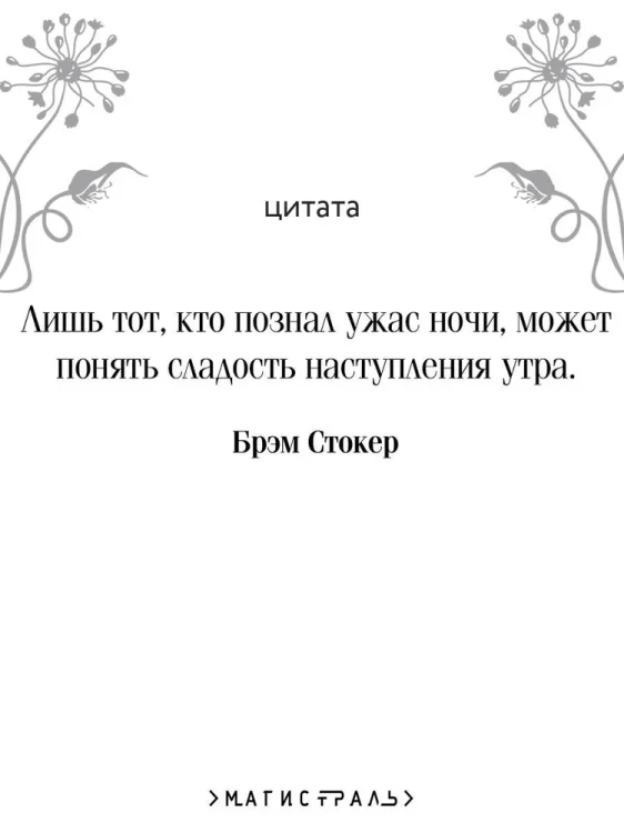7975480307.jpg