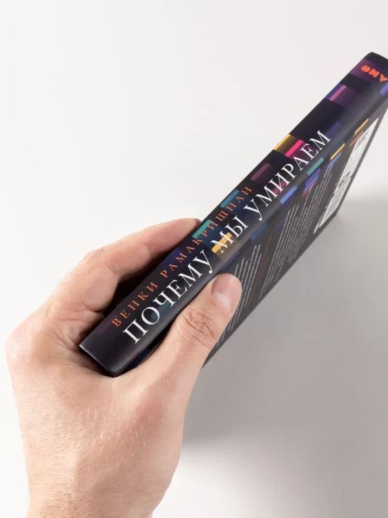 8038620428.jpg