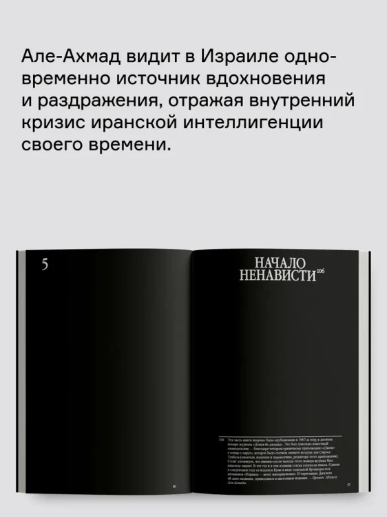 8117844253.jpg