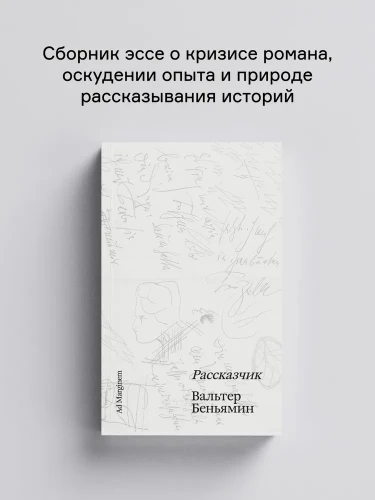 8094247613.jpg