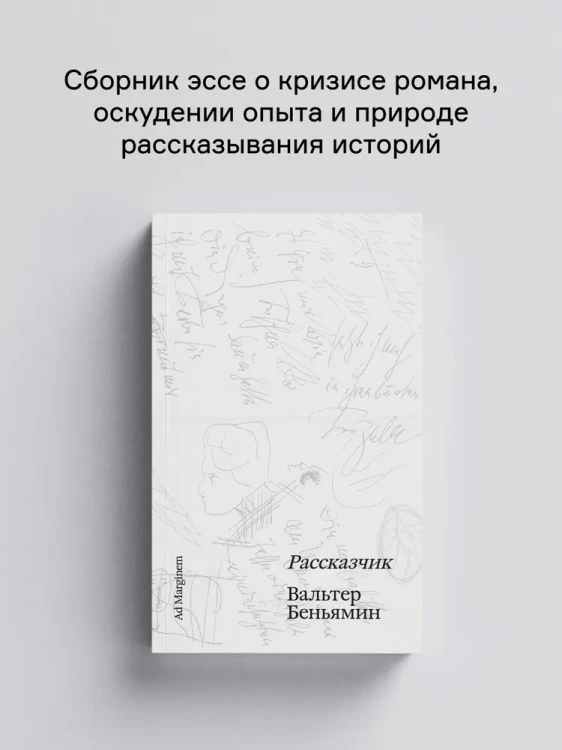 8094247613.jpg