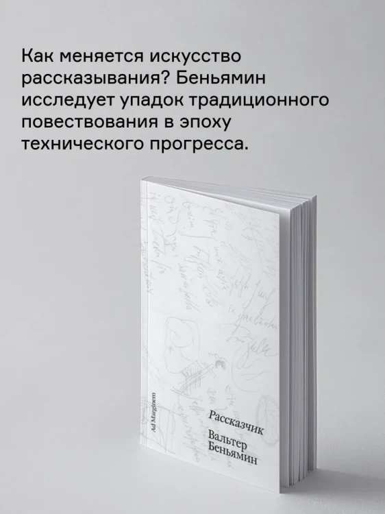 8094247503.jpg