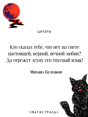 8095081169.jpg