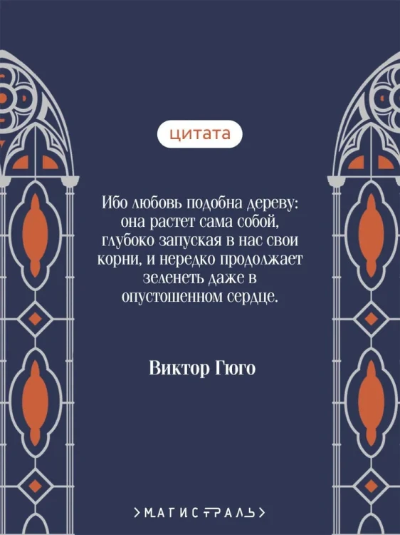 7200843402.jpg