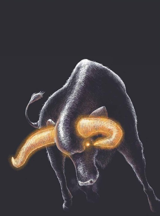 101365874_3.jpg